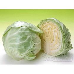 广东糖类产品与蔬菜的批发、供应及厂家资源整合