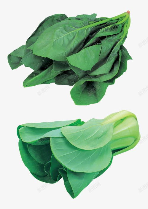 绿色蔬菜高清素材 打造自然清新的电商设计与平面创意