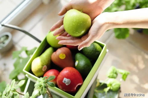 智慧农贸精准管理 苗木全产业链效率提升之道