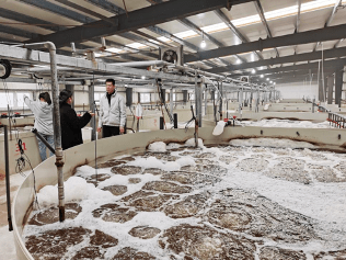 从碧海到餐桌 滨州海水养殖尾水零排放的绿色革命