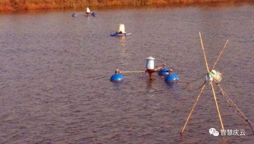 庆云海天水产养殖荣膺省级健康示范场，探索内陆水产养殖与销售新路径