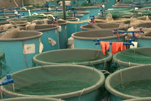 内陆水产养殖销售 水产养殖研究生的职业新蓝海