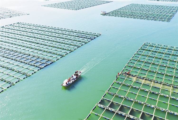 工厂化循环水系统调制海水，内陆城市也能养出大白虾！
