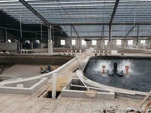 水产养殖必备海峡养殖漆,科技助渔增产增收