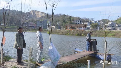 中坛古寨 内陆水产养殖提升土地经济效益的新探索