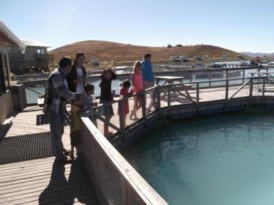 办理养殖证,去那个部门办理?