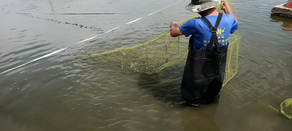 新疆"海鲜"火出圈儿 "内陆海鲜"如何养殖?