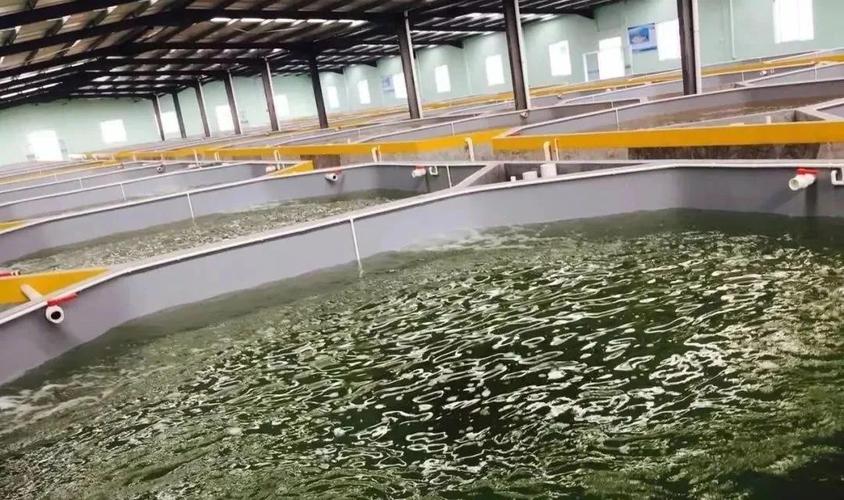 从源头到餐桌 工厂化水产养殖尾水处理技术进展与内陆养殖销售新格局