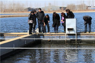 天津市水产产业技术体系创新团队首席专家邢克智教授带队赴东丽区、滨海新区指导内陆水产养殖销售工作